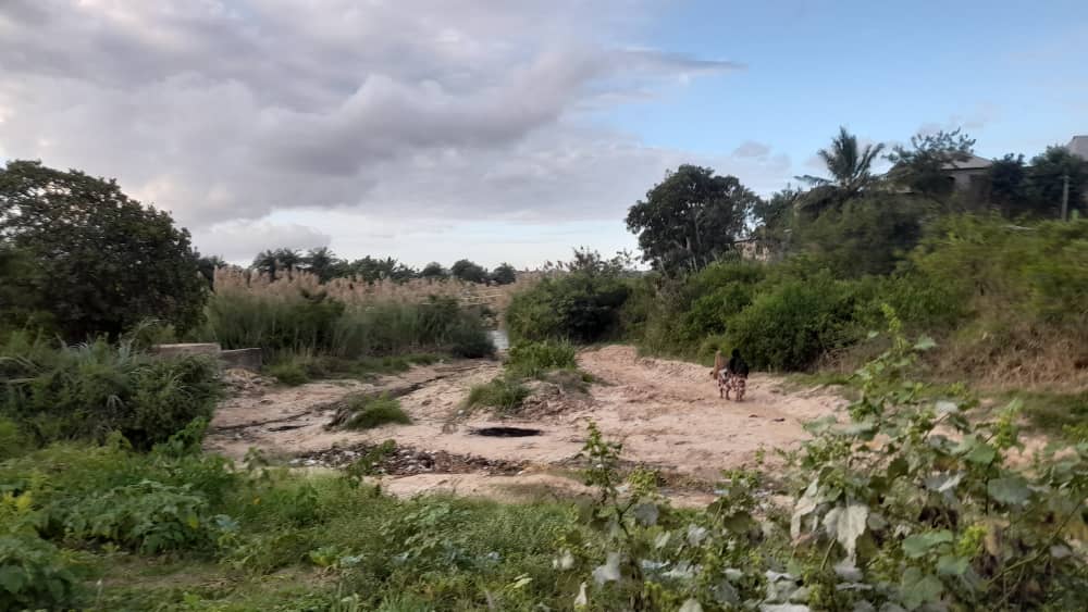 6e647c5f-f683-4649-9b2a-333c19af4f3c